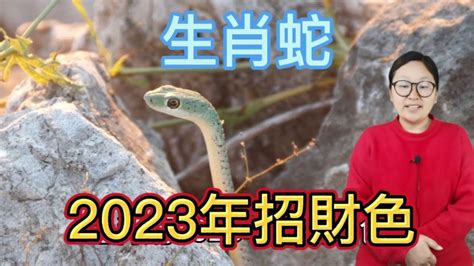 屬蛇適合什麼顏色|屬蛇適合什麼顏色？選擇顏色為運勢加分的秘訣